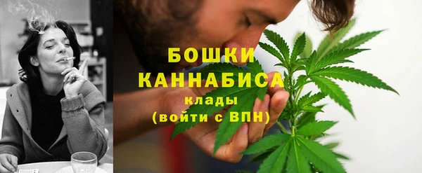 круглые Гусев