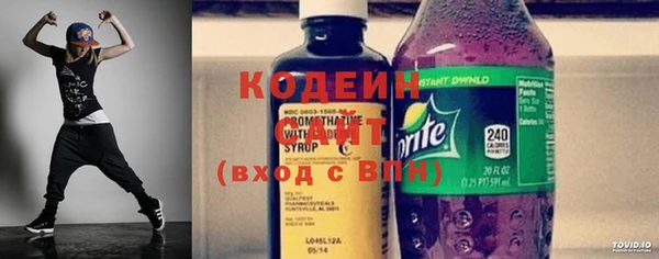 круглые Гусев