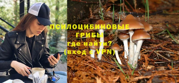 дживик Гусь-Хрустальный