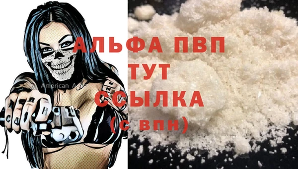 PSILOCYBIN Гусиноозёрск