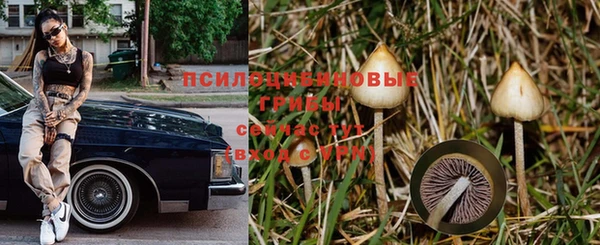 круглые Гусев