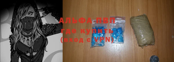 круглые Гусев