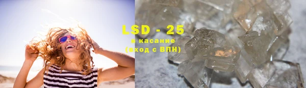 PSILOCYBIN Гусиноозёрск