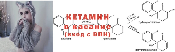 круглые Гусев
