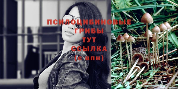 дживик Гусь-Хрустальный