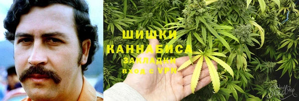 дживик Гусь-Хрустальный