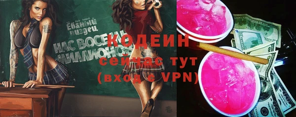 дживик Гусь-Хрустальный