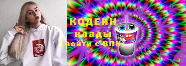 круглые Гусев