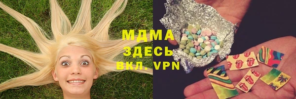 PSILOCYBIN Гусиноозёрск